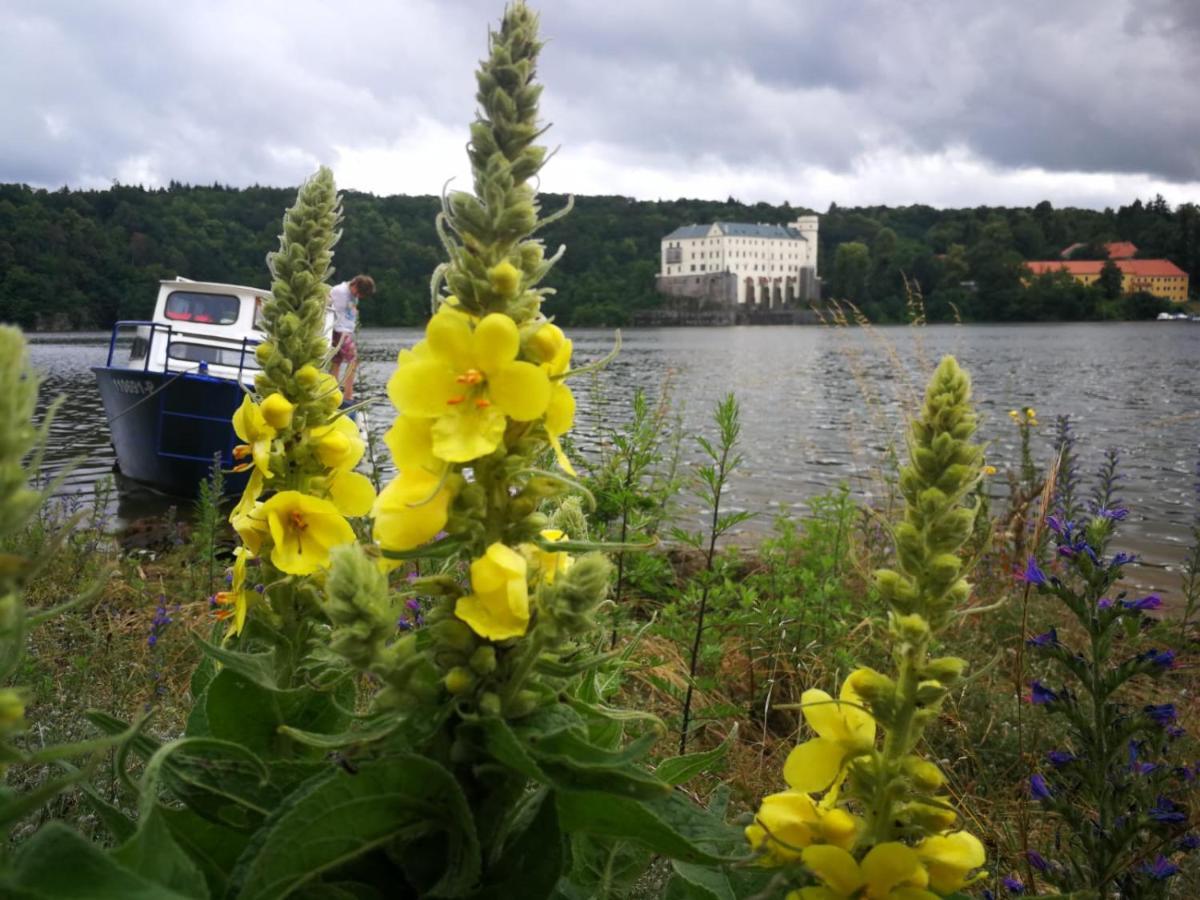 Podkrovi V Jihoceskem Statku Nemejice ภายนอก รูปภาพ